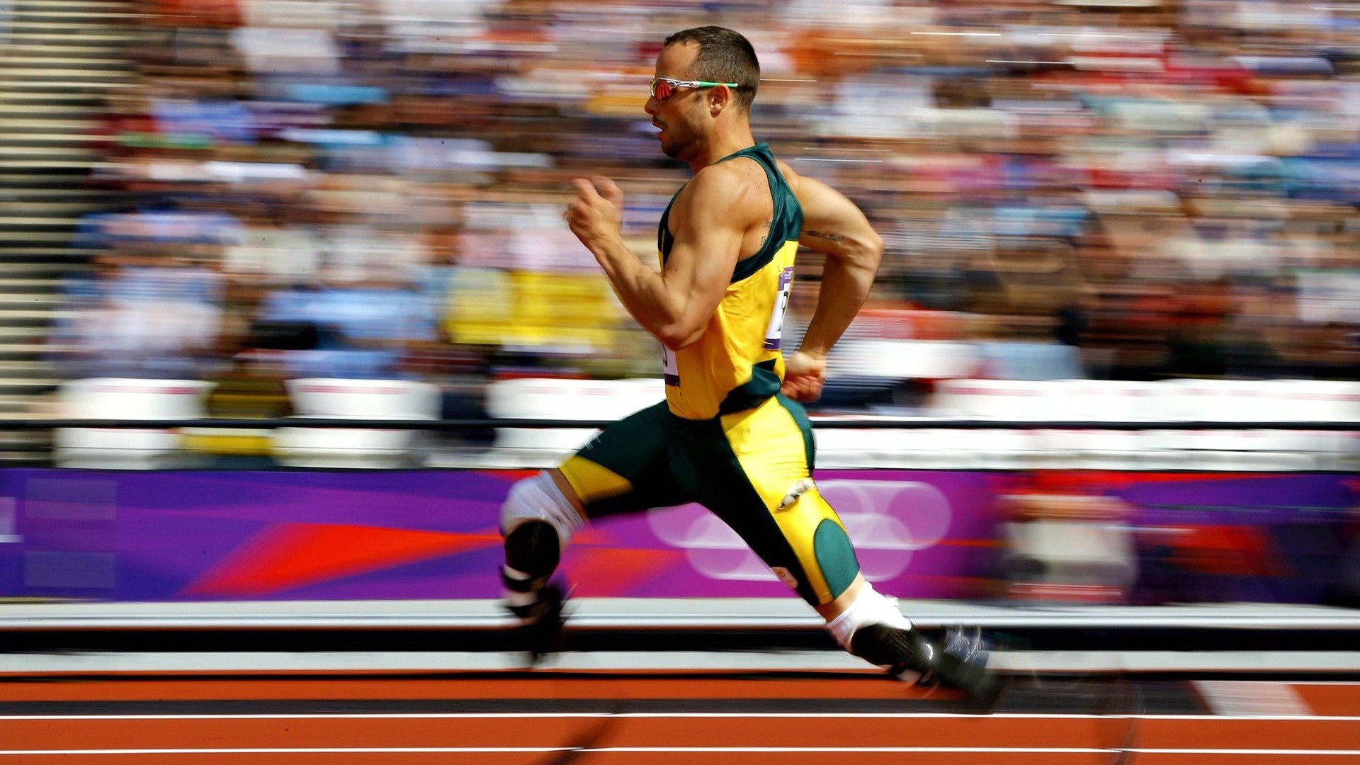 凯蒂·莱德基女子800米自由泳决赛再创辉煌，莱德基1500米自由泳里约奥运会